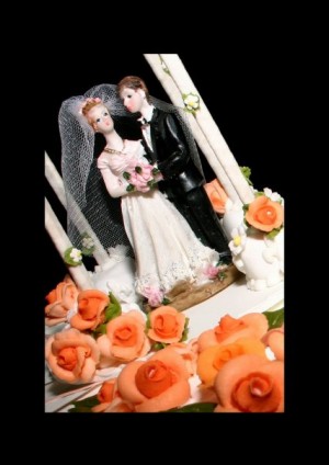 Francisco Bahamondes Anuncios gratis para novios en La Florida |  Fotografia para matrimonios, El mejor recuerdo para el mejor dia