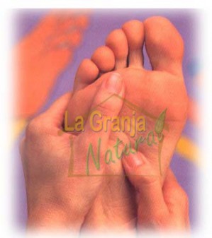 Guillermo Navarrete Ahumada Anuncios gratis para novios en Temuco |  REFLEXOLOGIA, Stres