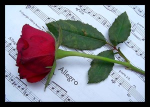 SantiagoArte 07 7955686 Anuncios gratis para novios en Providencia |  coro musicos piano violin soprano oboe matrimonios eventos experiencia, santiagoarte animadores partes de matrimonio cantantes liricos coros