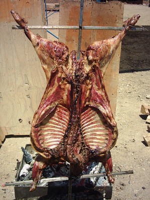 LUIS  Anuncios gratis para novios en Maip&uacute; |  LUSEPE CORDEROS , corderitos magallanicos ala espada 