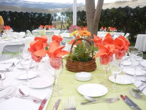 MARCELO Anuncios gratis para novios en Valpara&iacute;so |  banqueteria MARCELO CHEF, TODO TIPO DE EVENTO