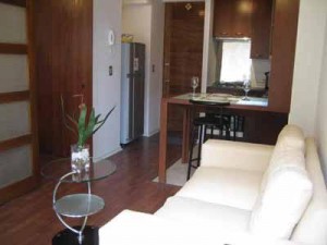 HomeChile Anuncios gratis para novios en Providencia |  Departamento Amoblado en Arriendo, Furnished Apartment for Rent