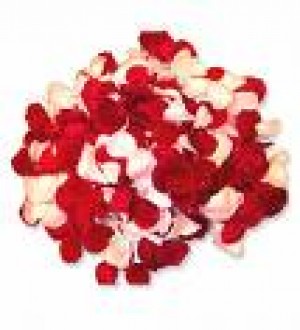 Beatriz Anuncios gratis para novios en Vi&ntilde;a del Mar |  Petalos de Rosa en cono de papel de seda, Fino y Delicado Detalle para regalar a tus invitados