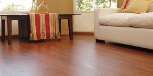 Alexander Solis Anuncios gratis para novios en Santiago |  Venta e Instalacion de Piso Flotante, Instalacion y Reparacion de Piso Flotante