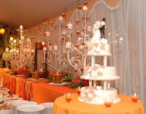 Jose Olivares Anuncios gratis para novios en Villa Alemana |  Banquetear&iacute;a fina, trabajo profesional, ofertas con men&ugrave;s desde los $10.900, Todo incluido, cena, decoracion, animacion, protocolo. 