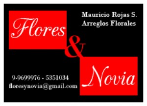 MAURICIO ROJAS Anuncios gratis para novios en Santiago |  MAURICIO ROJAS, ARREGLOS FLORALES, RAMOS NOVIA,  DESPACHO DOMICILIO, CAMINOS DE LUZ, CENTROS DE MESA, ATRILES, PEDESTALES
