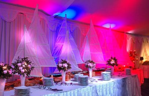 Jose Olivares Ordenes. Anuncios gratis para novios en Vi&ntilde;a del Mar |  Banquetear&iacute;a fina, trabajo profesional, ofertas con men&ugrave;s desde los $10.900, Todo incluido, cena, decoracion basica, animacion, protocolo.